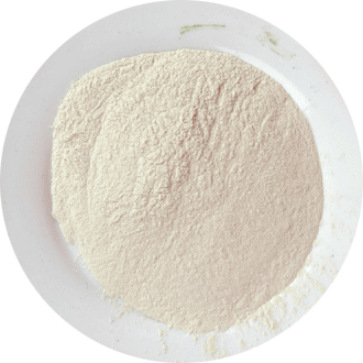 dehydrated pumpkin powder