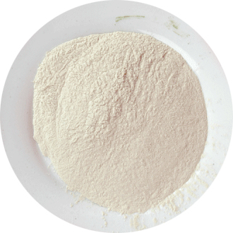 dehydrated garlic powder