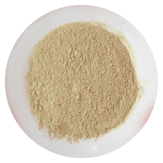 bitter gourd powder