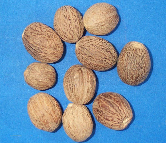 cardamom