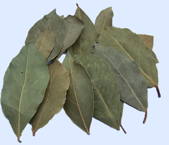 dried bay leaves